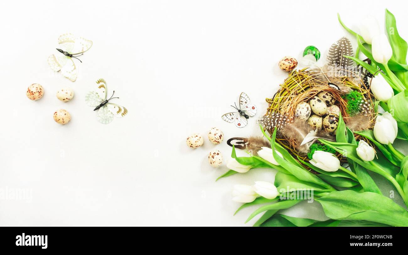 Spring Easter holiday white background with tulips, quail eggs ...