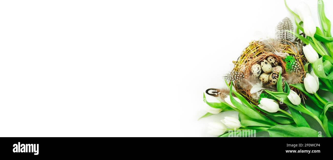 Spring Easter holiday white background with tulips, quail eggs and ...