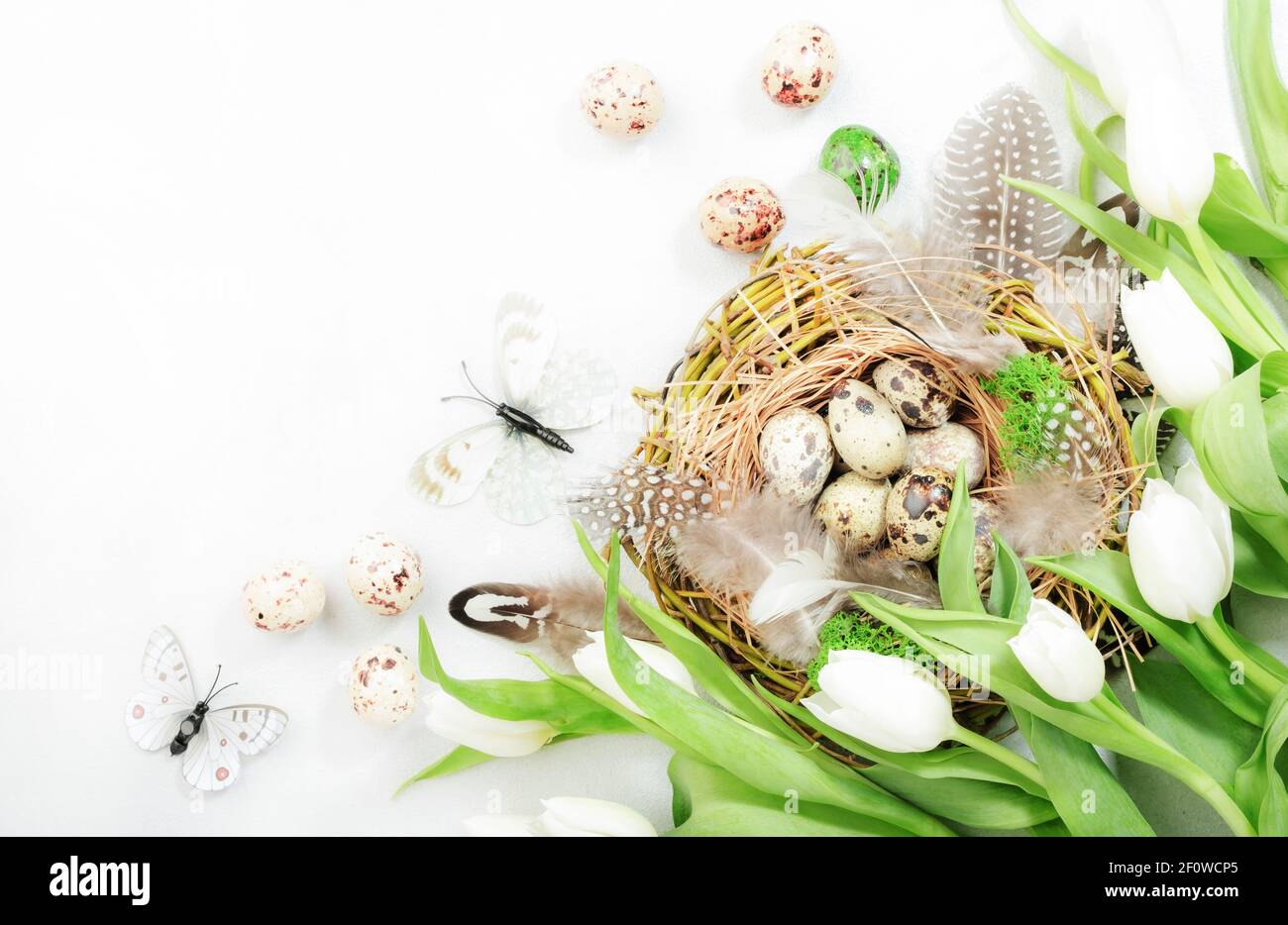 Spring Easter holiday white background with tulips, quail eggs ...