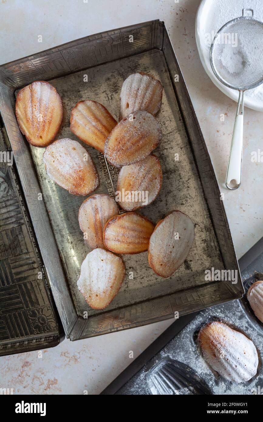 Madeleine cakes hires stock photography and images Alamy