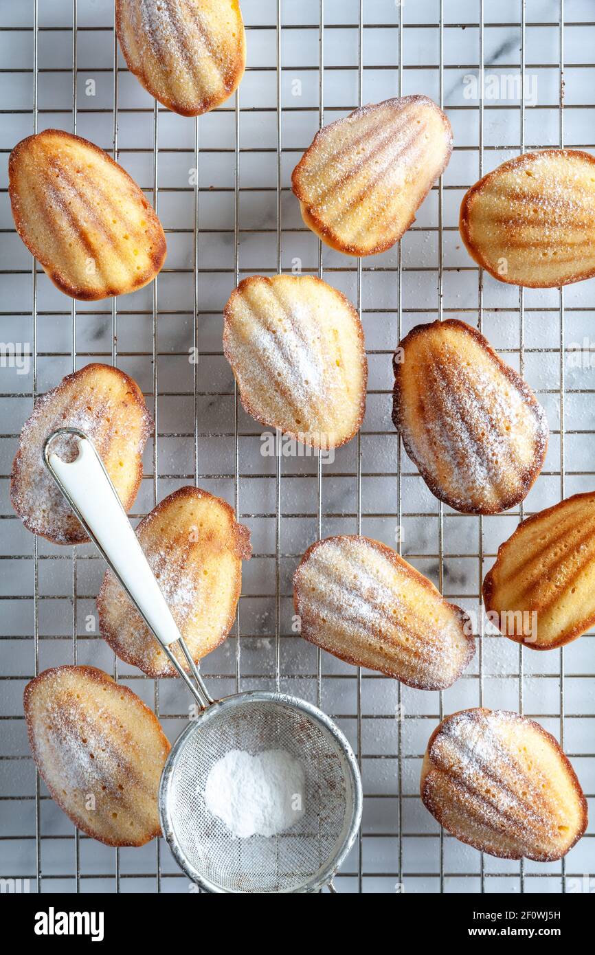 Top down view of home made baked madeleine cakes on a cooling rack with a sieve with icing sugar on a white marble background Stock Photo