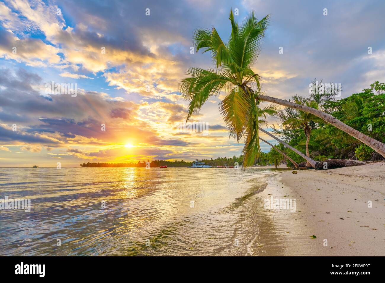 Beautiful sunrise over tropical beach and palm trees in Dominican republic Stock Photo