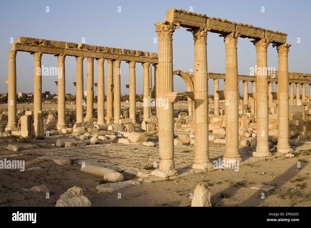 May 2008- Palmyra, Syria- Ruins of the ancient city of Palmyra, which ...