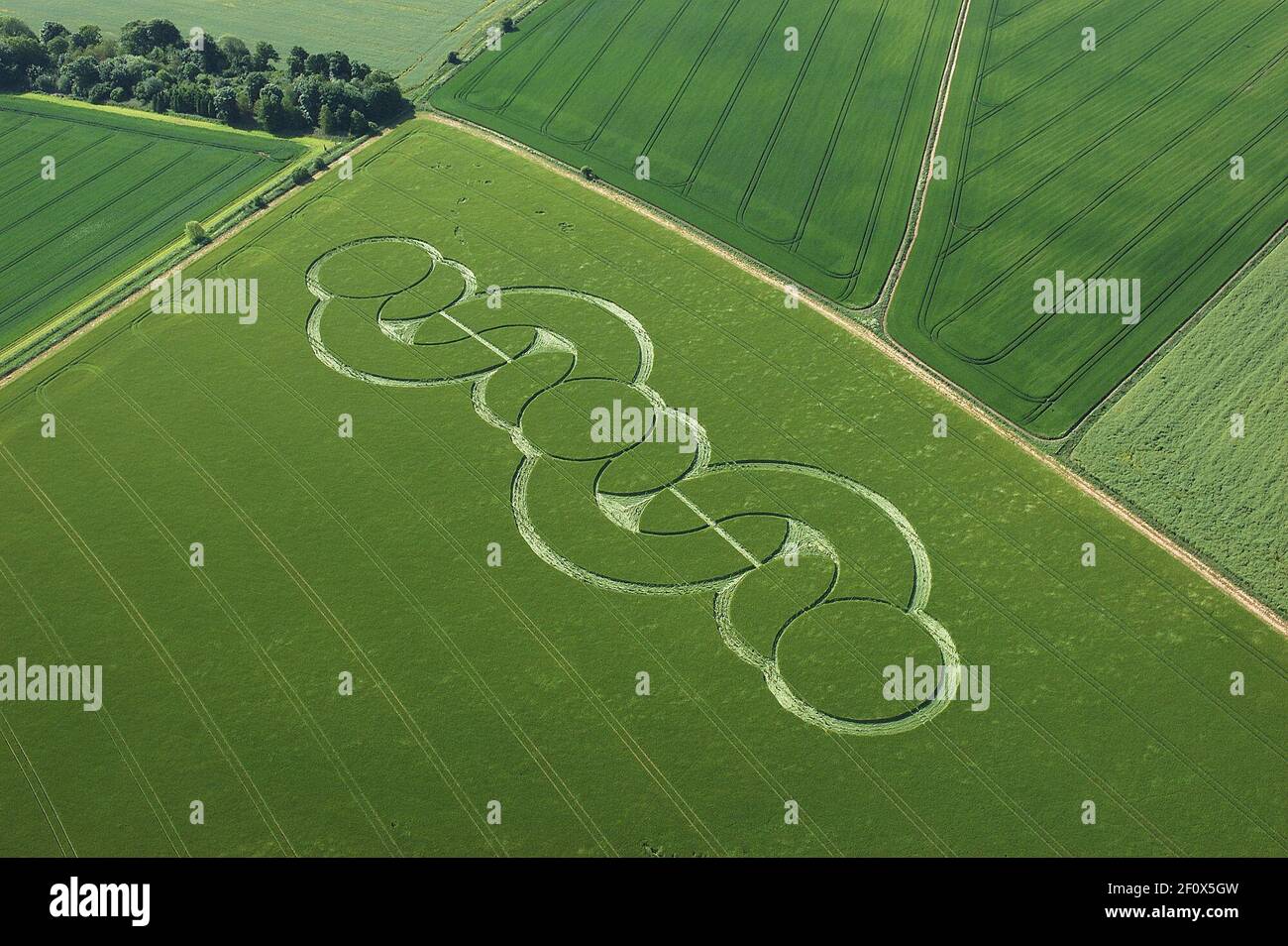ONE OF THE FIRST CROP CIRCLES OF THE YEAR IS MORE COMPLICATED AND LARGER THAN ANY CIRCLE EVER SEEN SO EARLY IN THE SEASON. IT APPEAREED OVERNIGHT IN A FIELD AT BECKHAMPTON, WILTSHIRE AND MEASURES A STAGGERING 1,000 FEET IN LENGTH. CROP CIRCLE EXPERT  STEVE ALEXANDER, FROM  HAMPSHIRE HAMPSHIRE SAID ''IF CIRCLES OF THUIS MAGNITUDE ARE APPEARING SO EARLY IN THE SEASON WHAT ON EARTH WILL FOLLOW LATER IN THE SUMMER'' 2005 Stock Photo