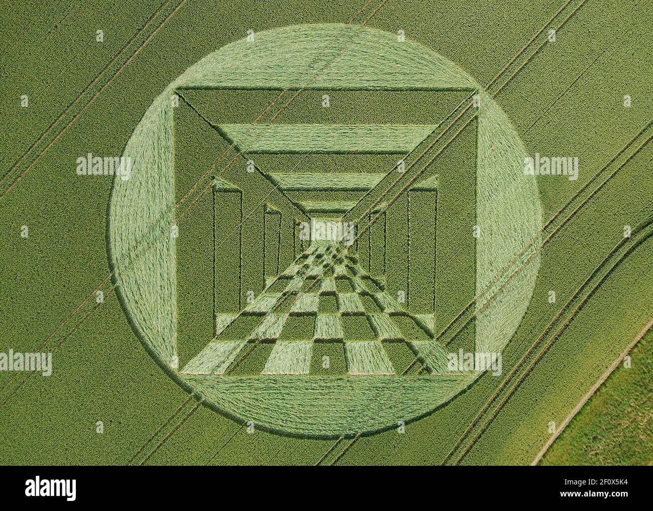 the crop circle at sidbury hill that seems to depict a long corridor fading into the distance. 2007 Stock Photo