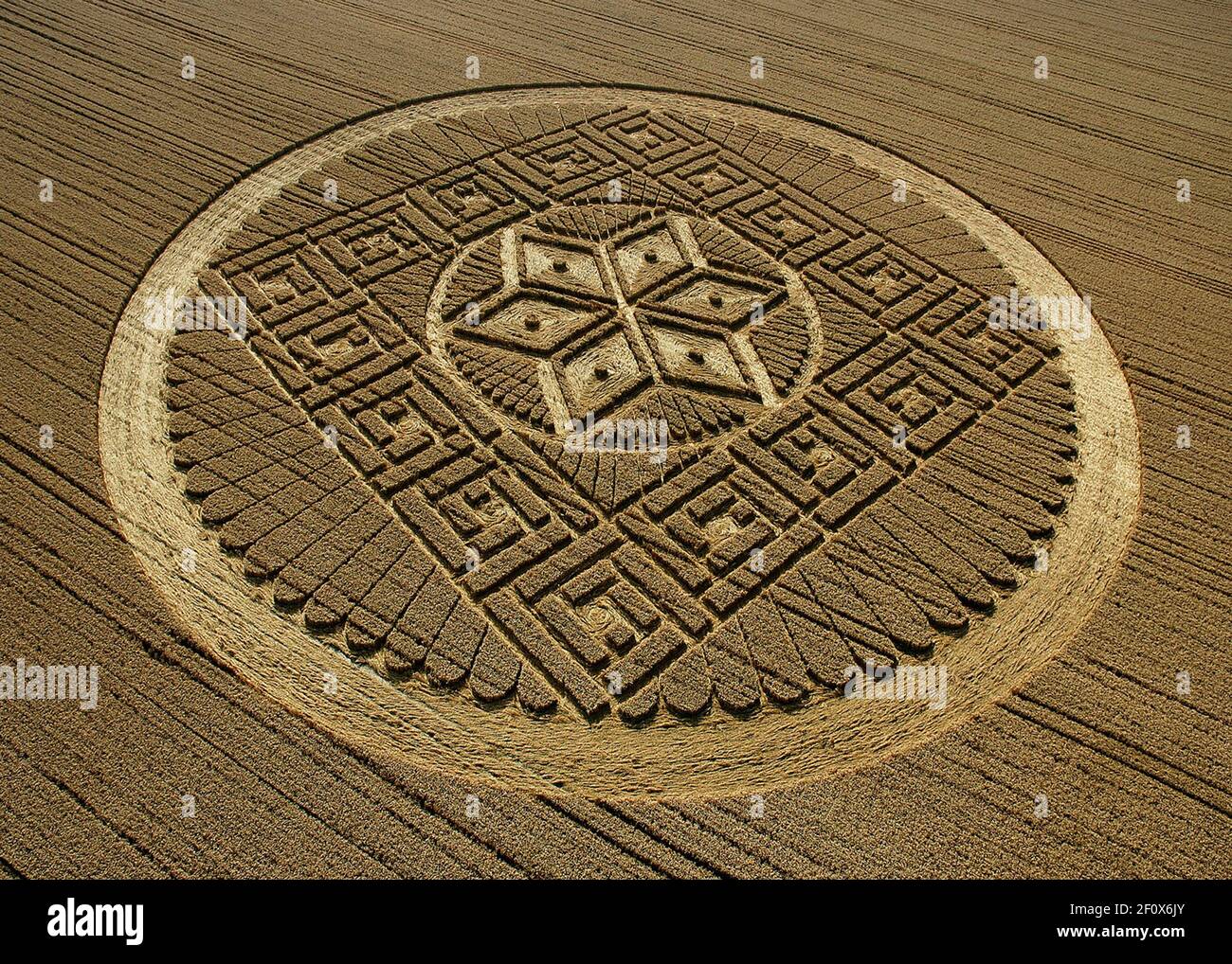 THE LARGEST AND MOST COMPLEX CROP CIRCLE OF THE YEAR HAS APPEARED AT WEYLANDS SMITHY IN WILTSHIRE. MEASURING OVER 300 FOOT ACROSS IT DEPICTS THE MAYAN CALANDER. 2005 Stock Photo