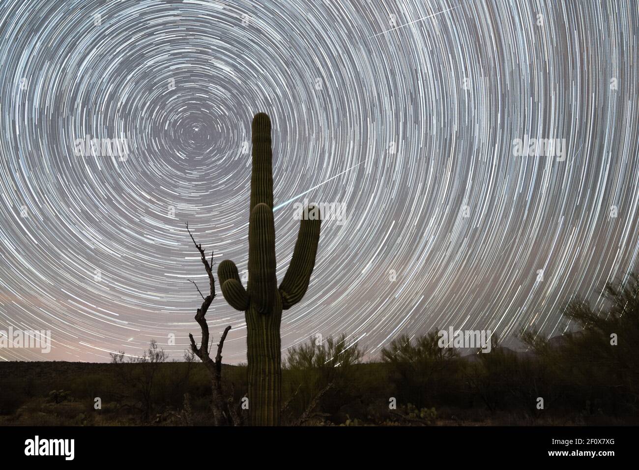 Geminid meteor shower star trails Stock Photo