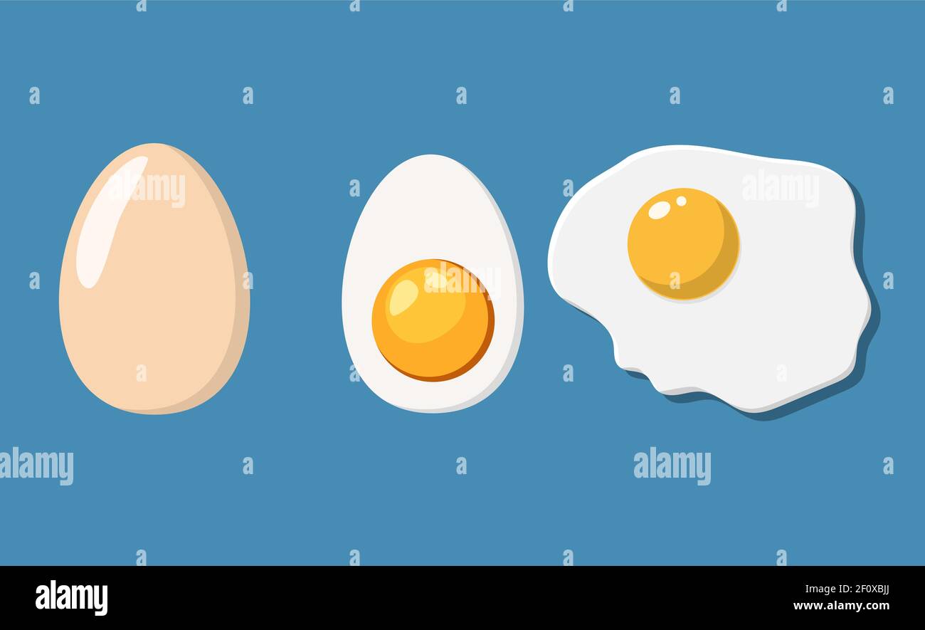 Fried, half and eggs in shell Stock Vector Image & Art Alamy