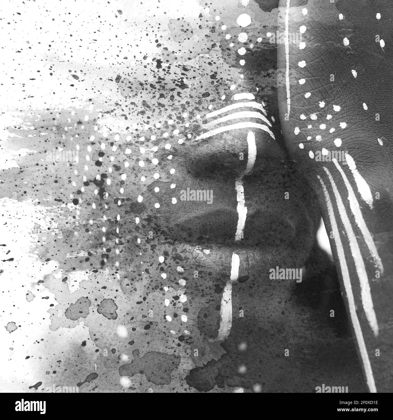 An artistic black and white portrait Stock Photo - Alamy