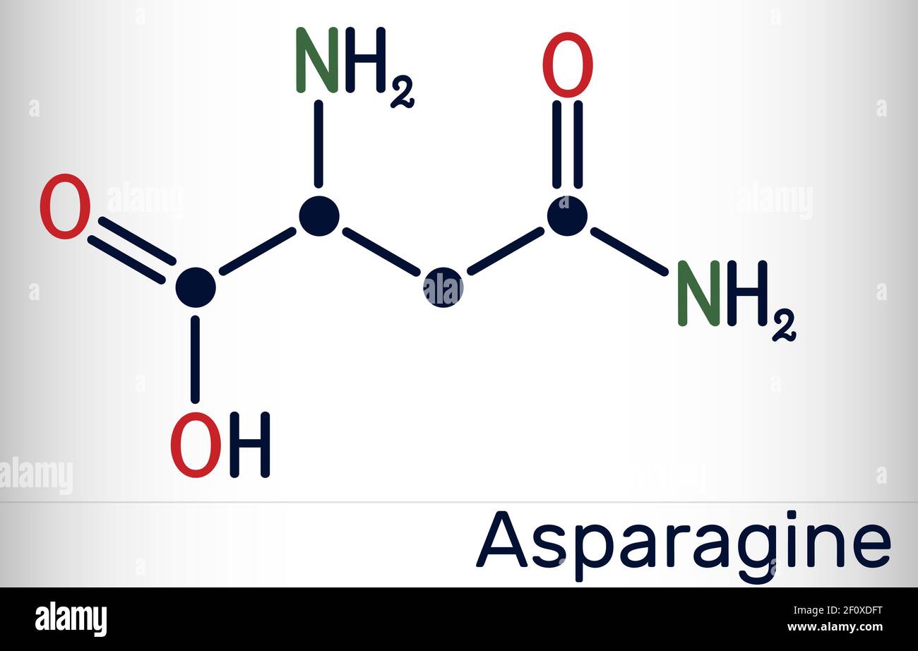 Asparagine, L-asparagine, Asn molecule. It is non-essential amino acid, used in the biosynthesis of proteins.  Skeletal chemical formula. Vector illus Stock Vector