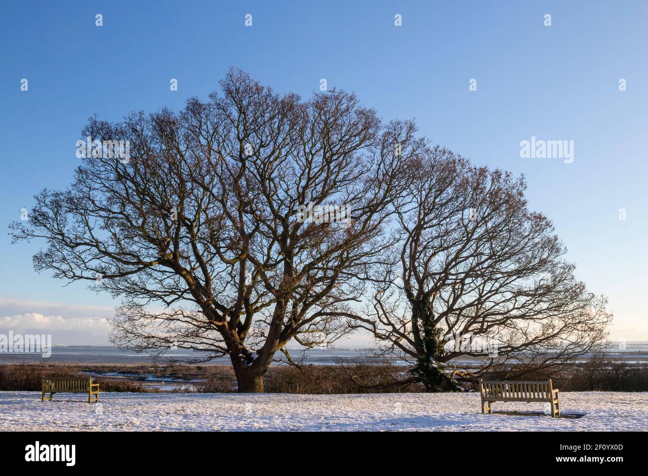 Marine Parade Gardens, LeighonSea, Essex, England on a sunny winter's