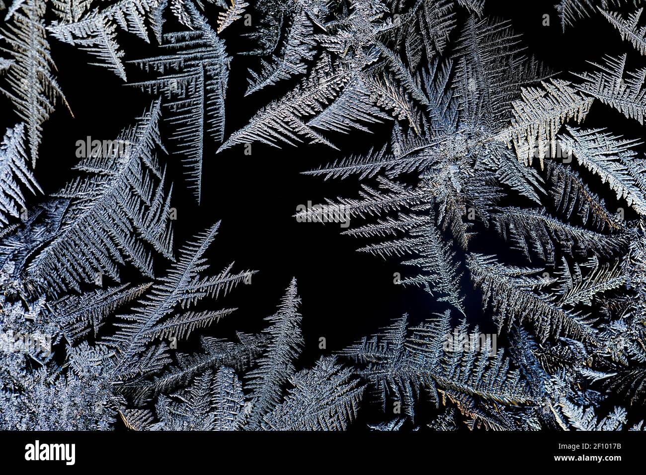 Intricate ice crystals growing on a window pane in winter in Michigan ...