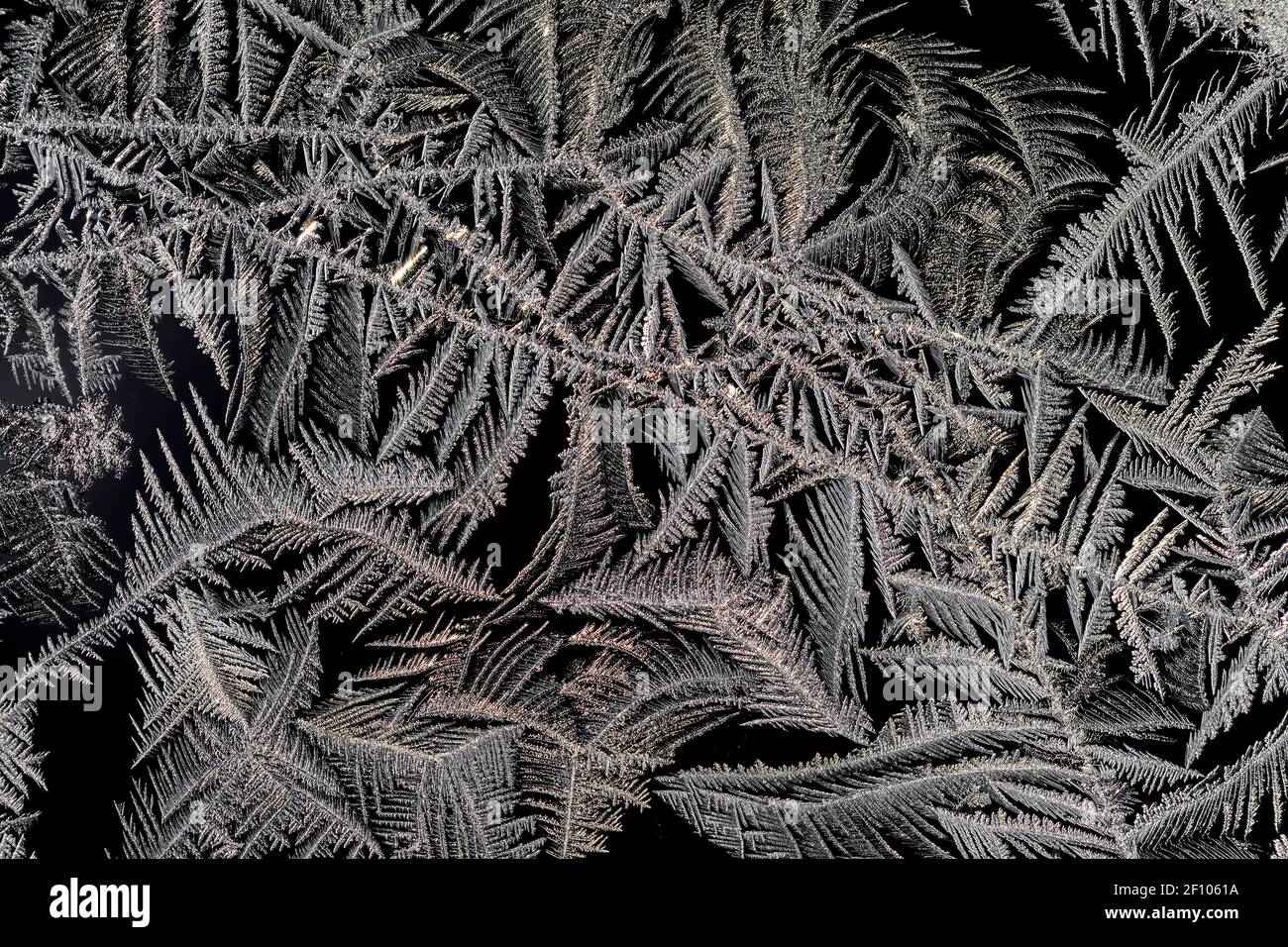 Intricate ice crystals growing on a window pane in winter in Michigan ...