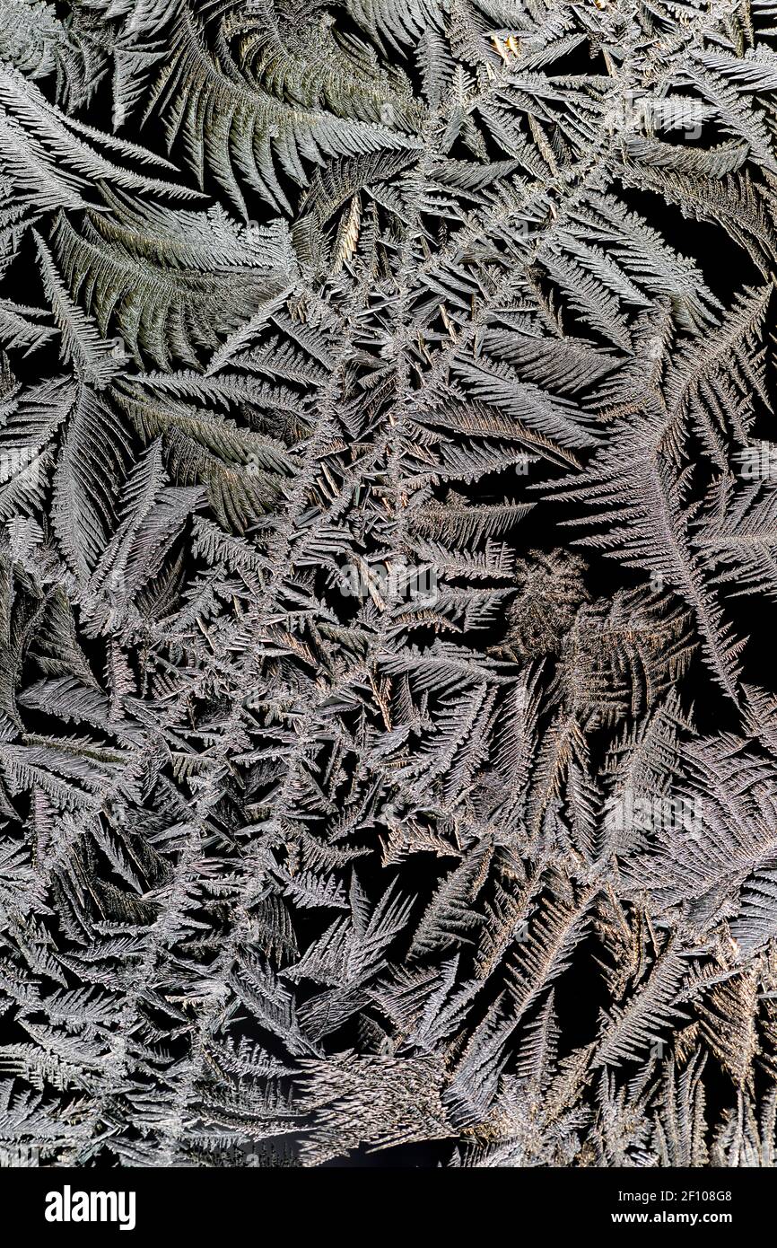 Intricate ice crystals growing on a window pane in winter in Michigan, USA Stock Photo