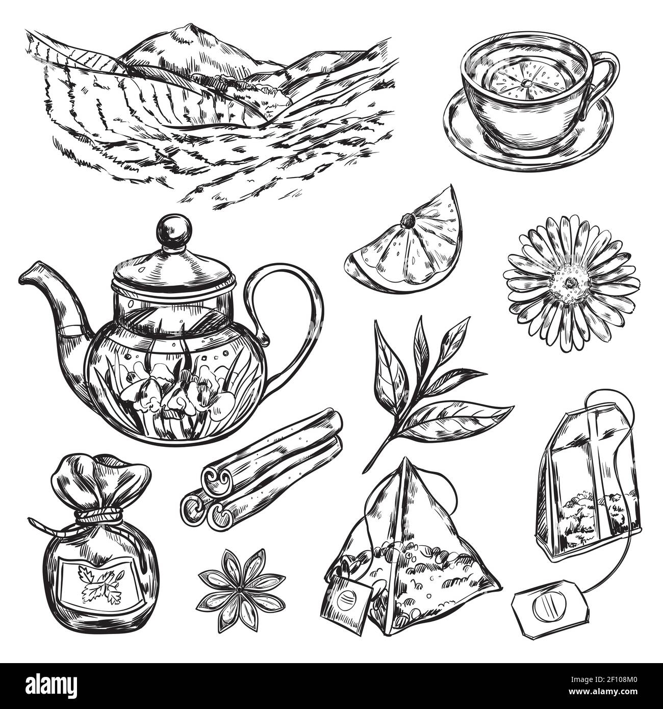 Hand draw black herbal tea teapot accessories and supplies for making