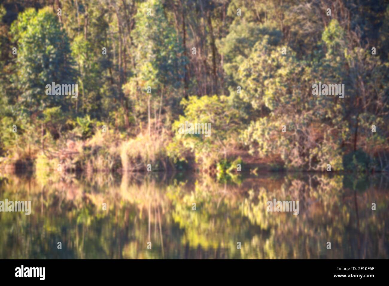 The pound lake and tree reflection in water Stock Photo Alamy