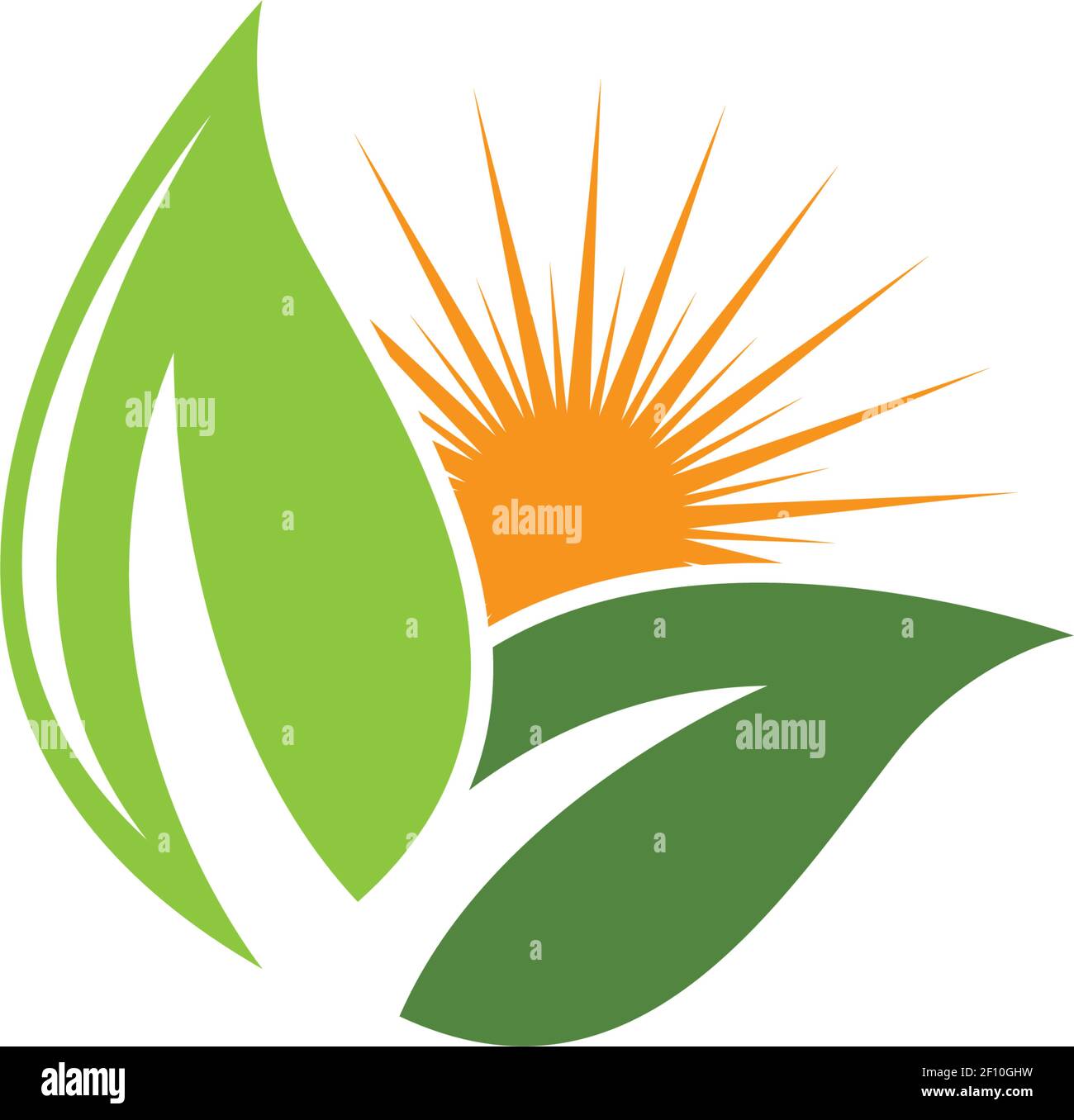 Logos of green leaf ecology nature element vector icon Stock Vector ...
