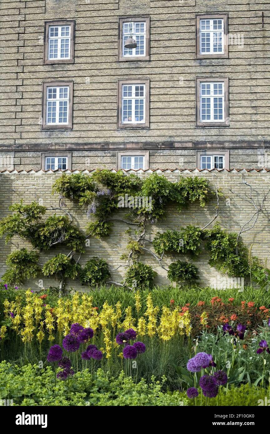 Sumption Gardens 26 May 2009- Copenhagen, Denmark- Flowers line the ground and wall of ...