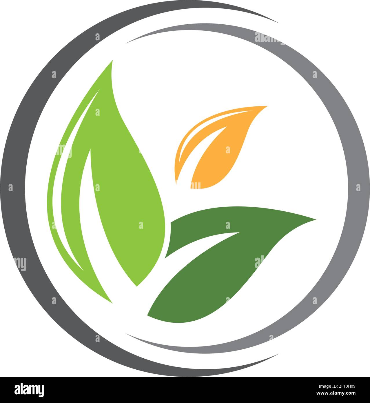 Logos of green leaf ecology nature element vector icon Stock Vector ...