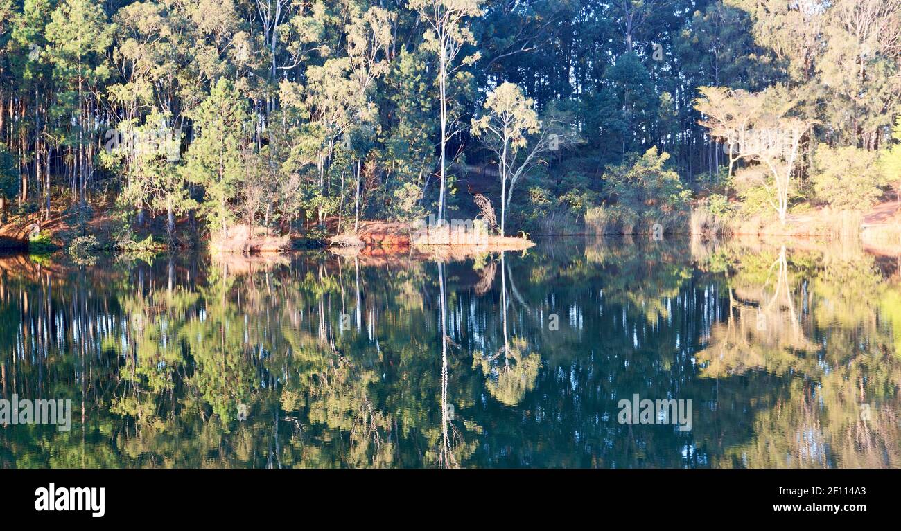 The pound lake and tree reflection in water Stock Photo Alamy