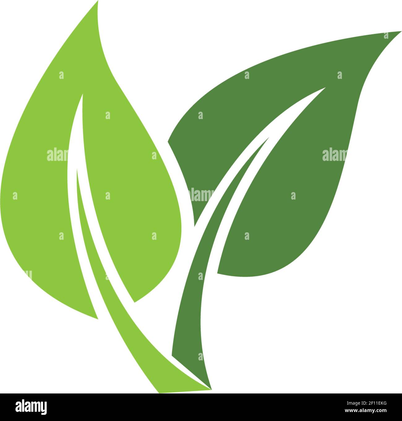 Logos of green leaf ecology nature element vector icon Stock Vector ...