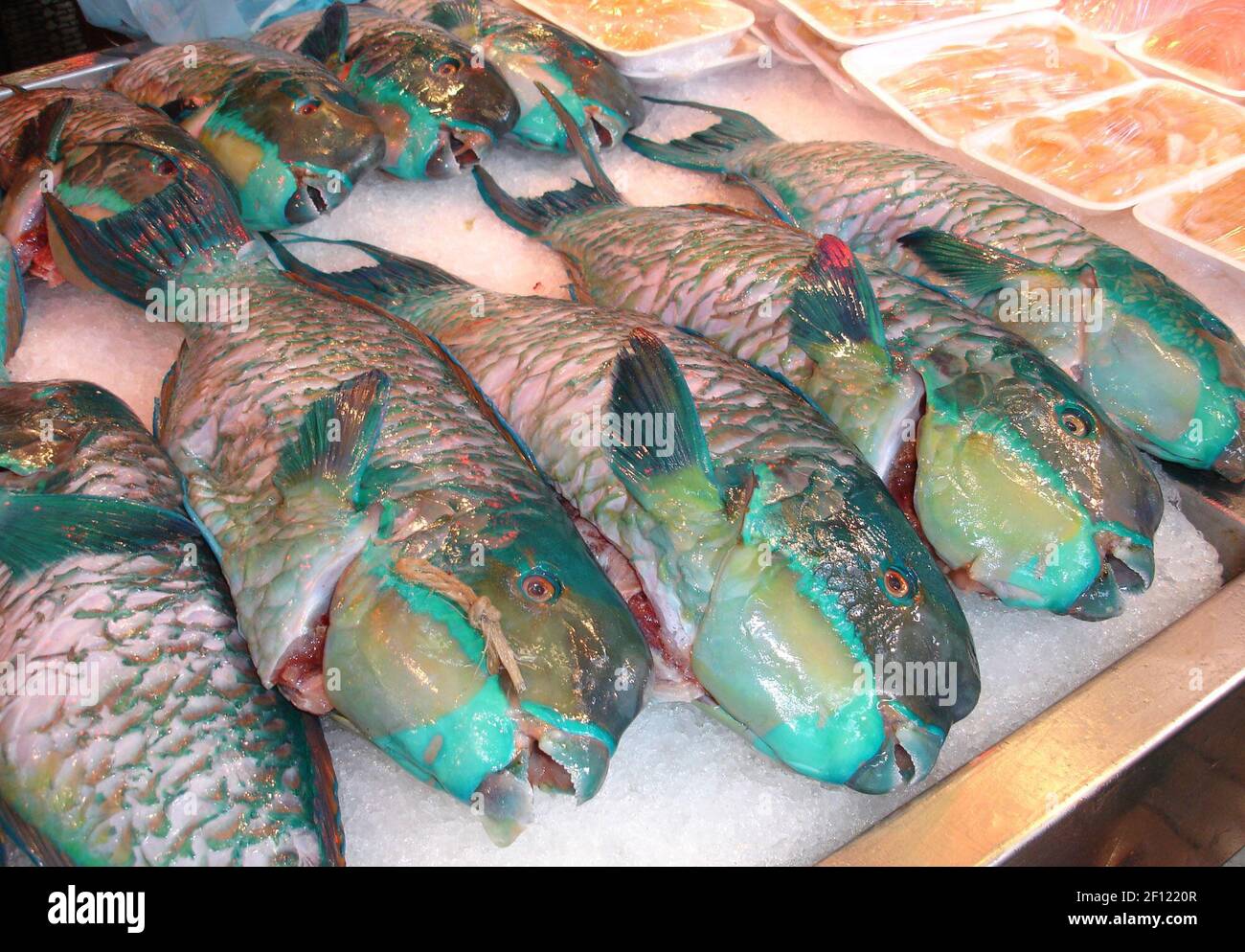 Colorful tropical fish for sale at the fish market in Papeete in Tahiti