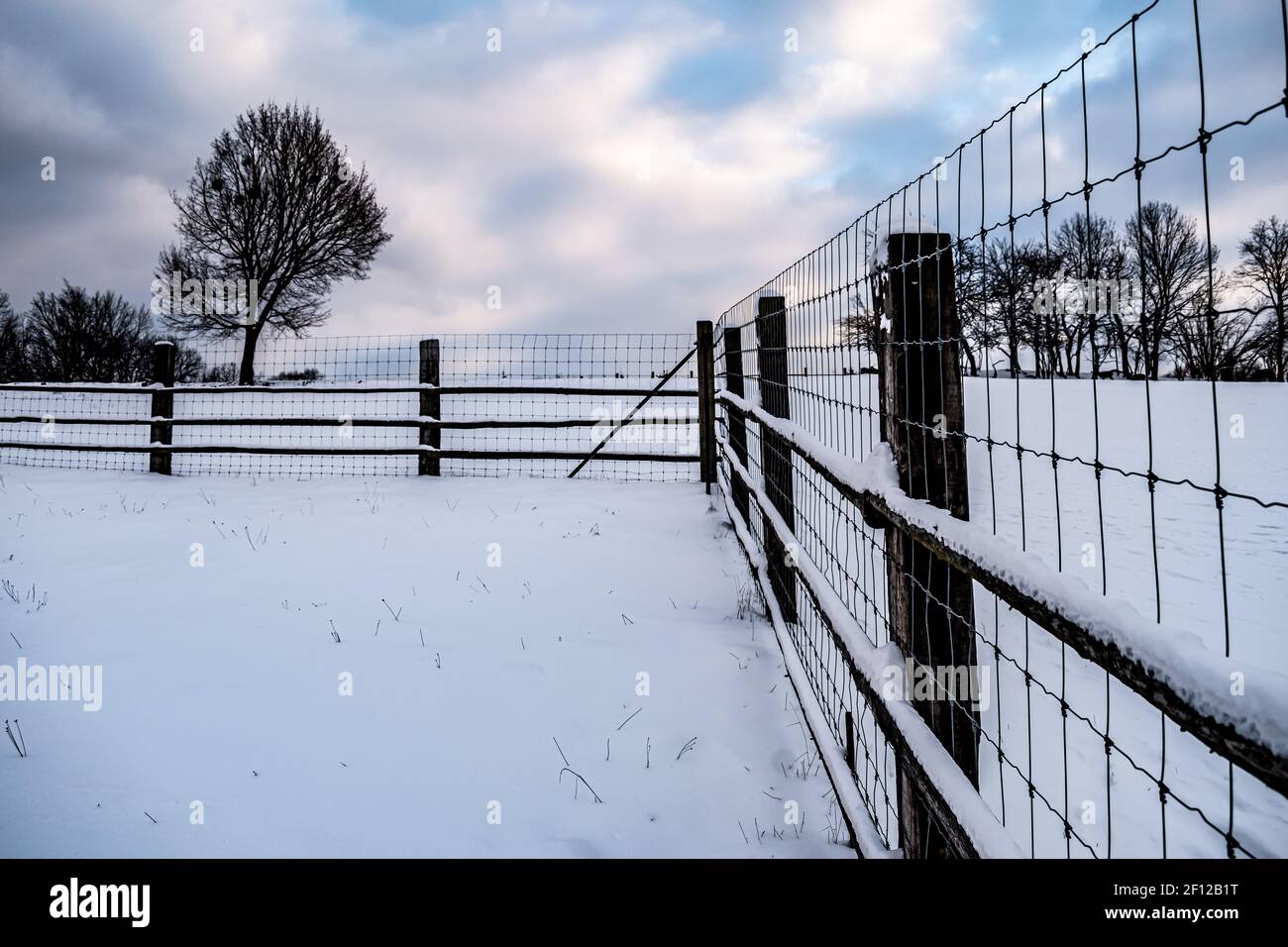 Animal preserve wooden modern fence in the winter, Czech Republic Stock Photo