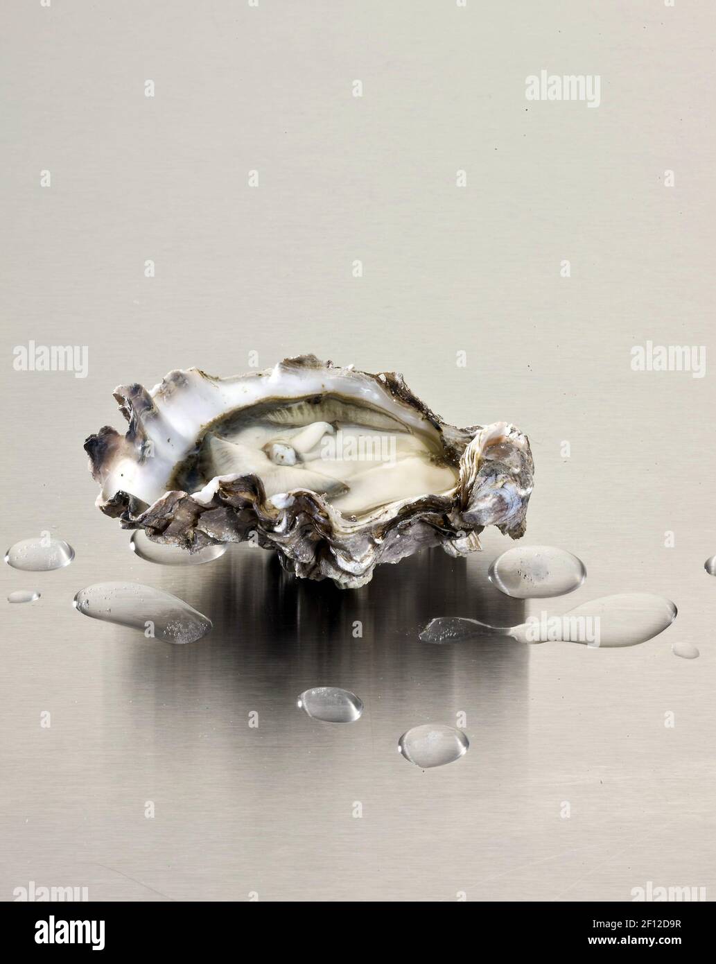 The oyster is not for the faint of heart. Stripped, shucked and raw