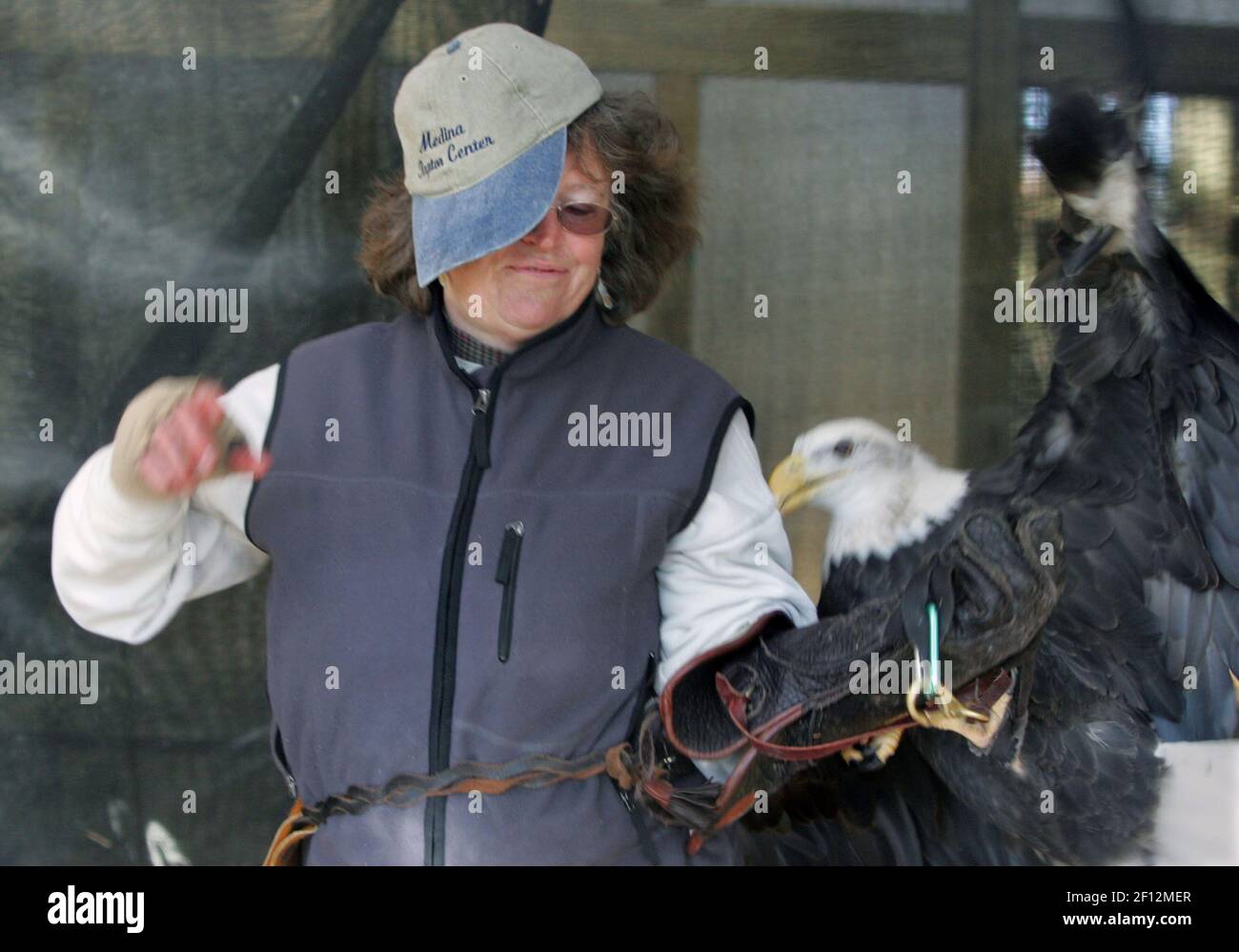 Medina Raptor Center director Laura Jordan looses her hat as bald eagle