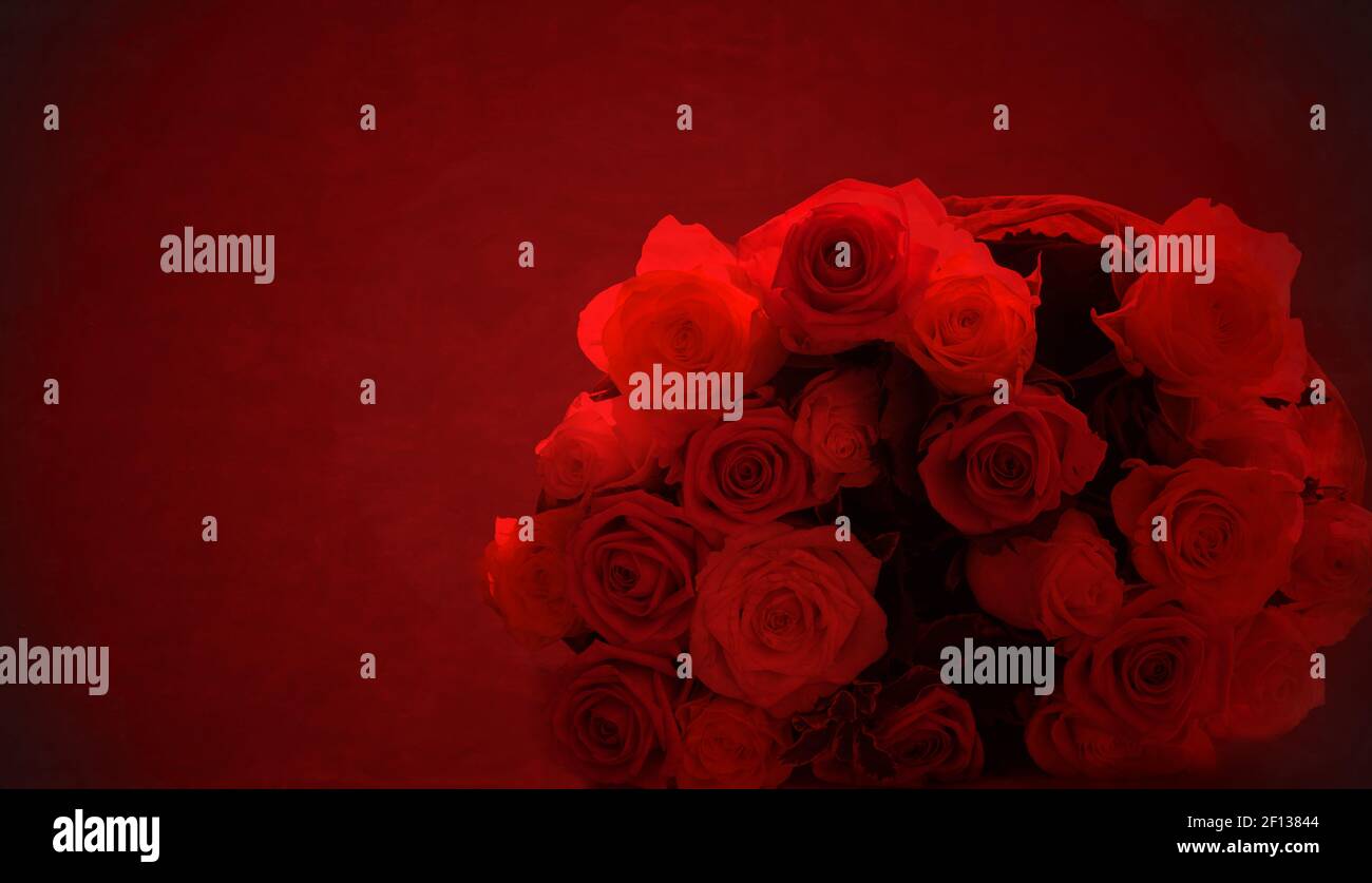 Roses on red background Stock Photo