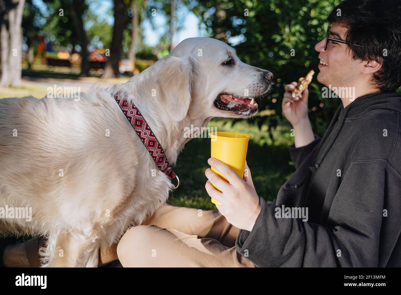 Man feeds his dog snacks for obedience in park Stock Photo