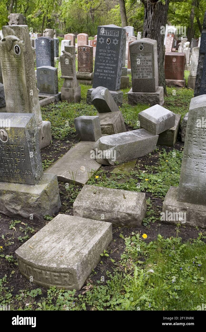 Many fallen headstones are found in this section of Jewish Waldheim ...
