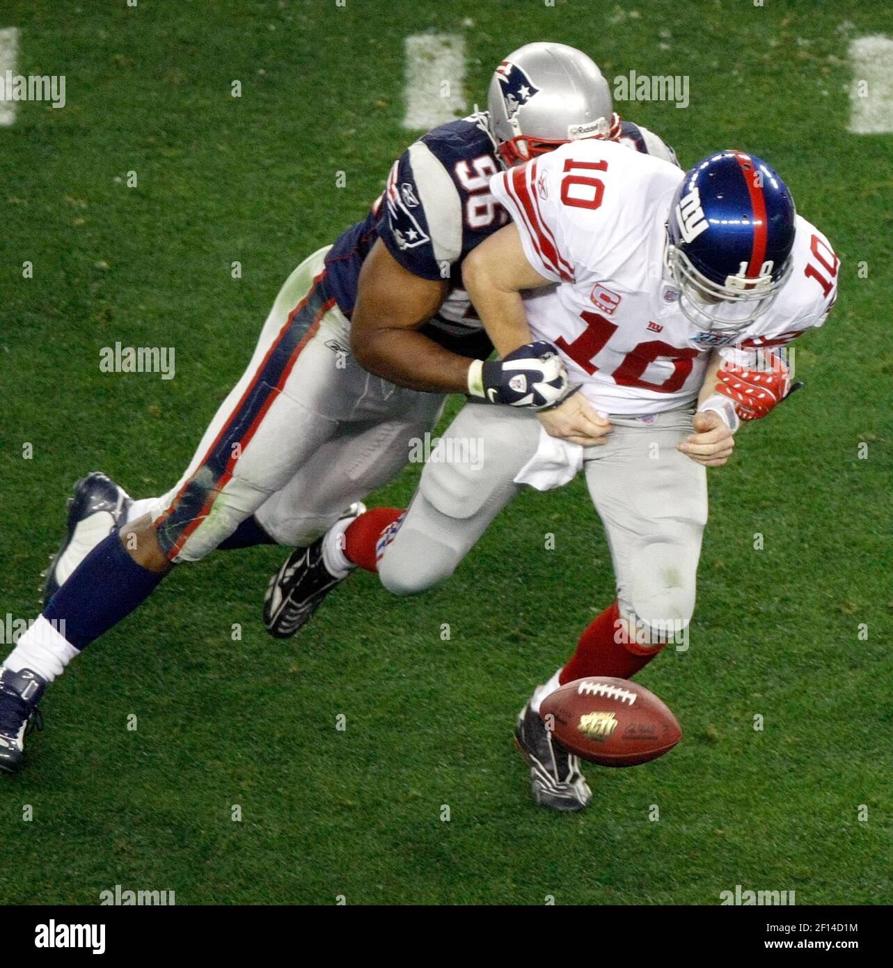 New England Patriots' Adalius Thomas (96) celebrates a sack on