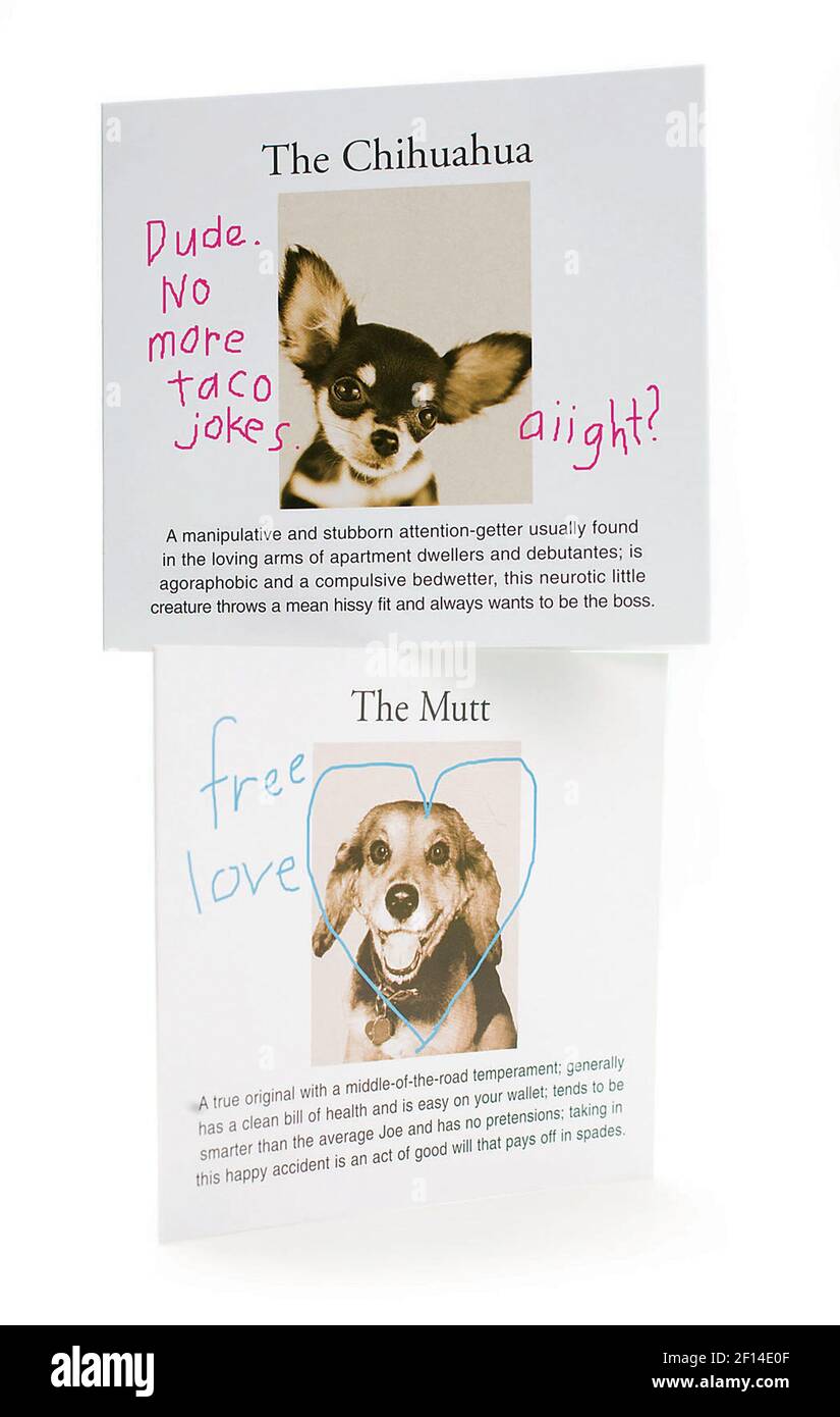 Check out the Limelight line of Kennel Club greeting cards spotlighting  cute critters (breeds and mutts), along with a pretty accurate description  of each and why you should adopt one ("The Mutt: -