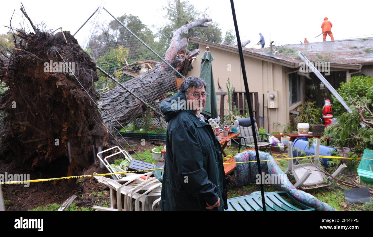 A large pine tree slammed into the house of homeowner Richard Garcia