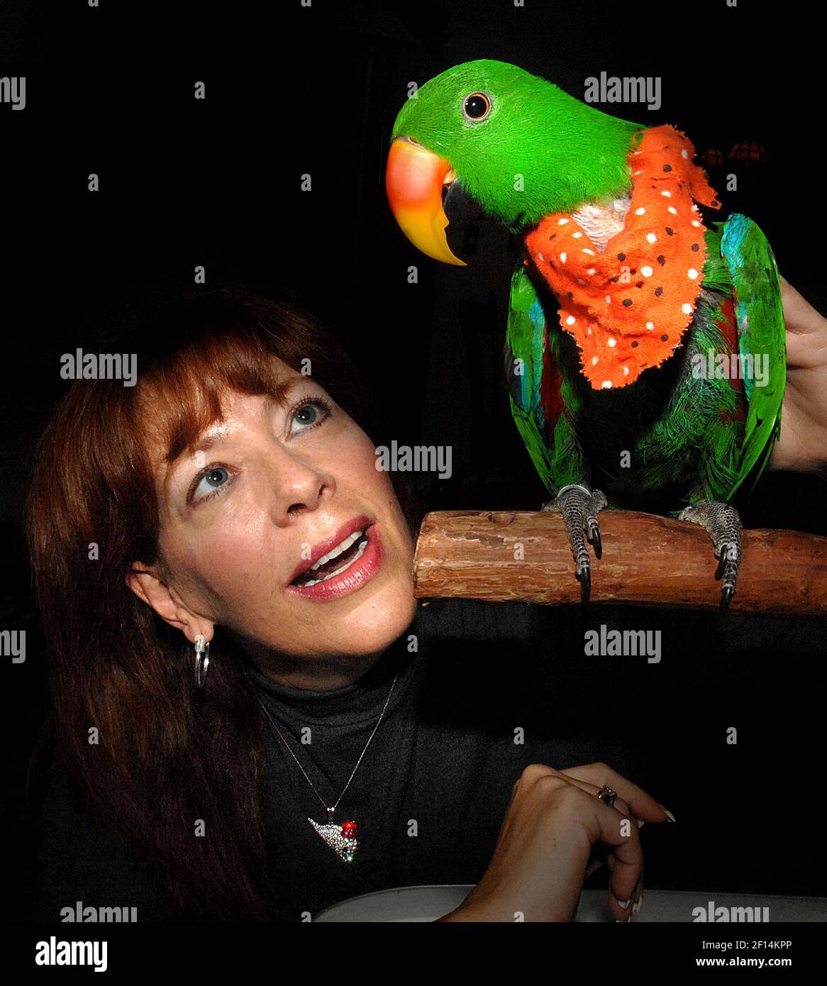 Laura Souza, of Delray Beach, Florida, with her Eclectus parrot, Baby Nino.  Florida legislators passed the law in 2003 which allowed pet owners to set  aside money for the care of their