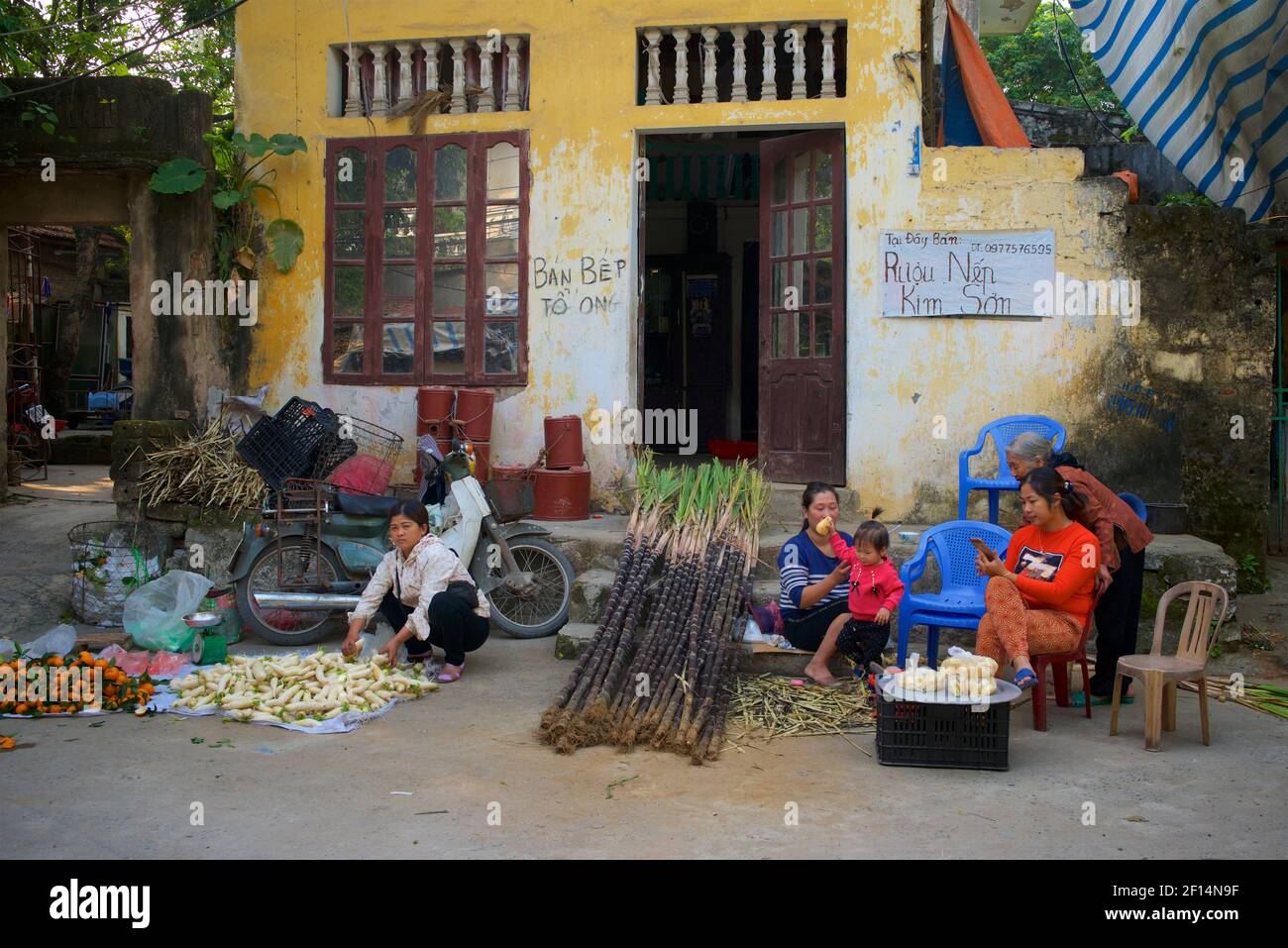 Street market. Vietnamese women selling in the street - vegetables and sugar cane. Thanh Liêm, Hà Nam, Ha Nam Province, Northern Vietnam Stock Photo
