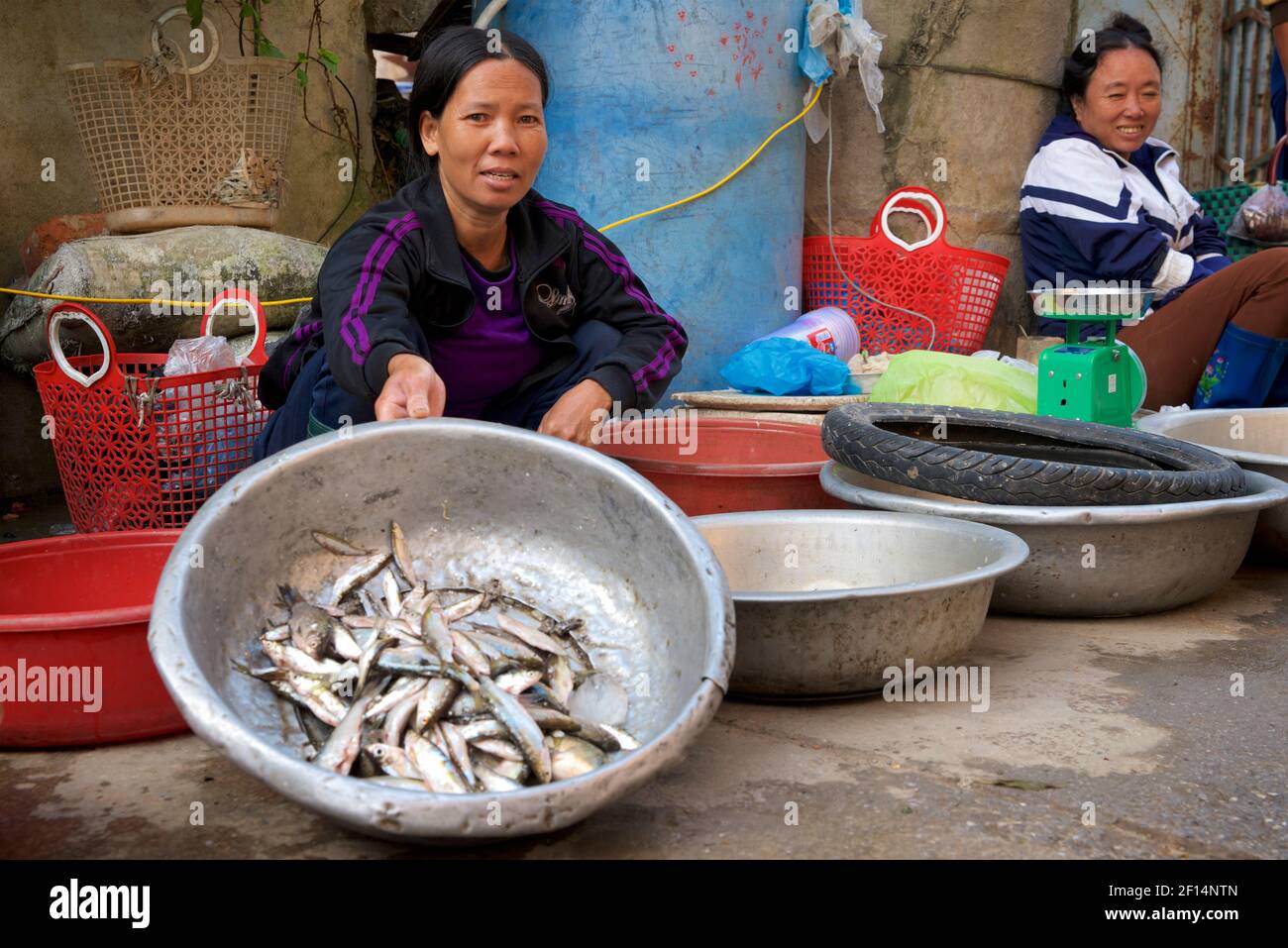 Street market. Vietnamese women selling fresh fish in the street. Thanh Liêm, Hà Nam, Ha Nam Province, Northern Vietnam Stock Photo