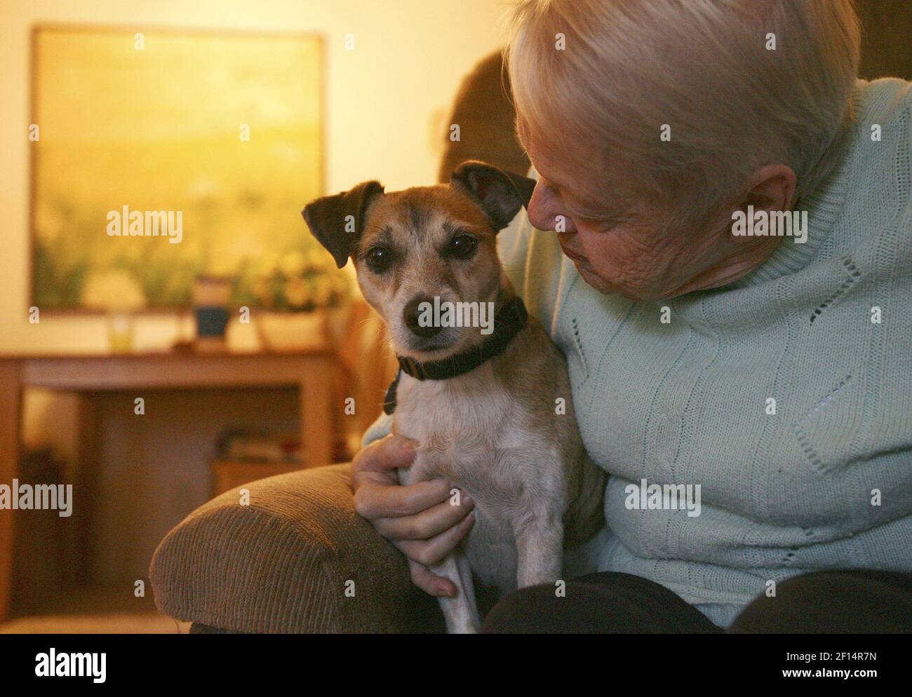 Joan bourell spends time with monty her two year old jack russell