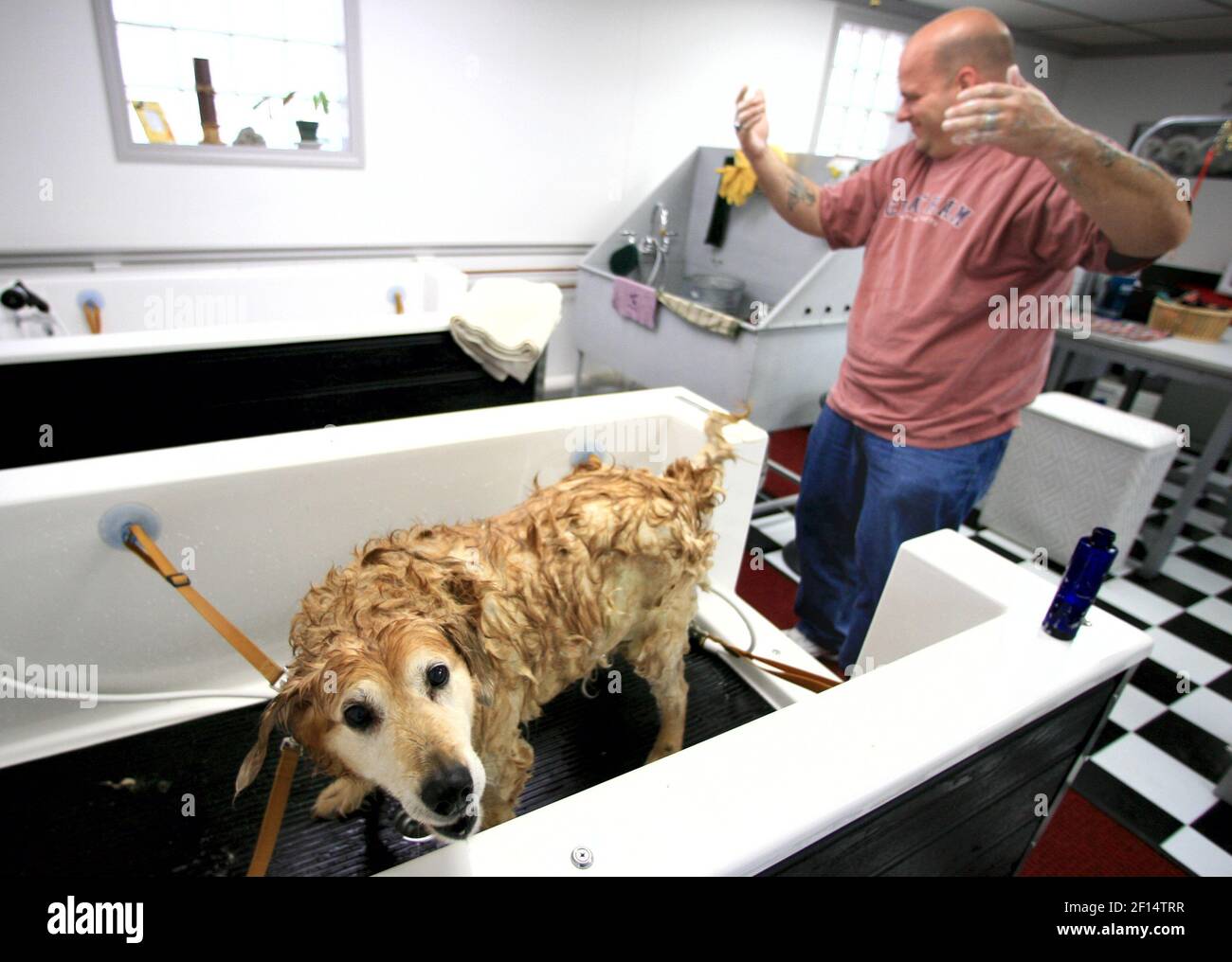 How Much Is Self Service Dog Wash At Petco