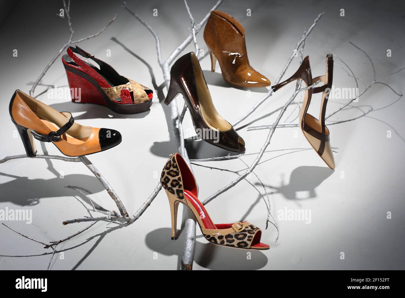 Branch out with patents and prints! Clockwise, from center top: BCBGirls  hazelnut shoe boot, $, Nordstrom; Manolo Blahnik two-tone slingback  in sand and chocolate, $575, Neiman Marcus; Manolo Blahnik animal-print  open-toe slide,