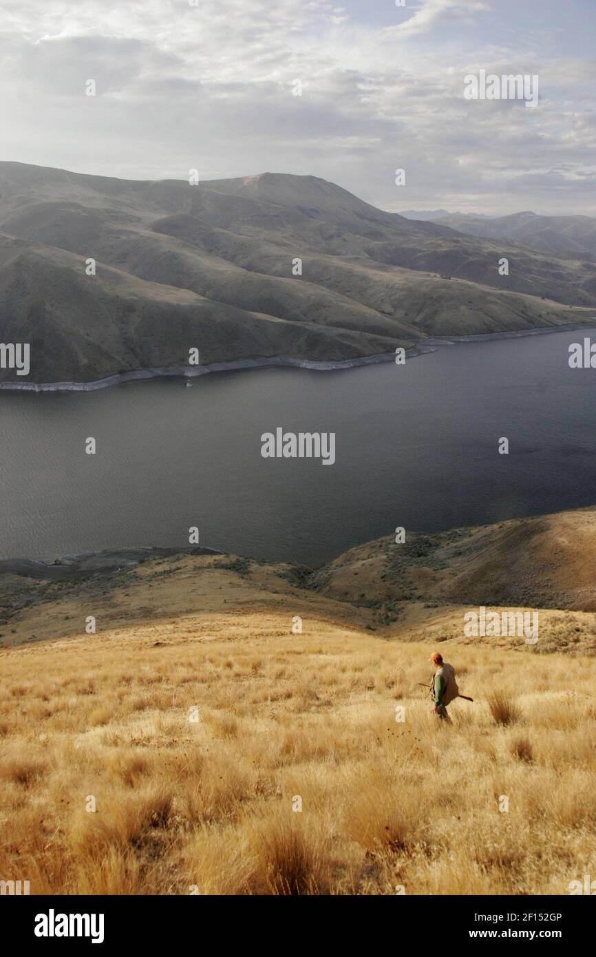 Brownlee Reservoir in Idaho is a popular area for chukar hunting