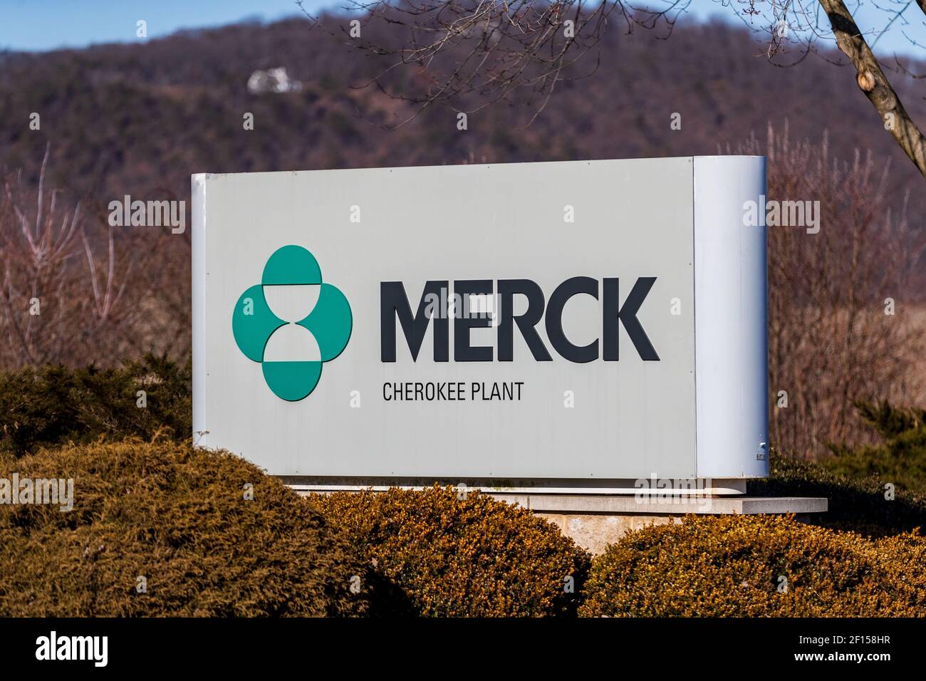 Msd logo hi-res stock photography and images - Alamy