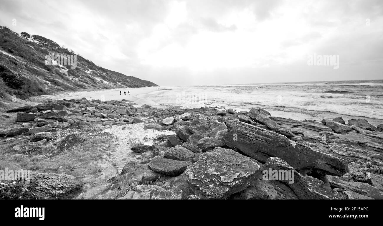 In south africa   sky ocean  nature    reserve Stock Photo