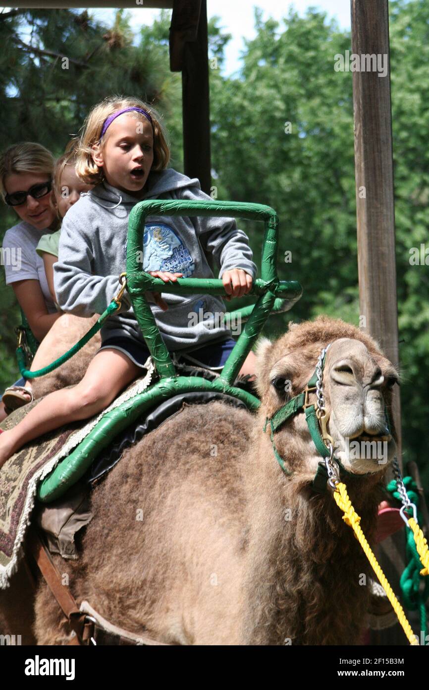 Camel Riding Mouse Milwaukee County Zoo Camel Ride