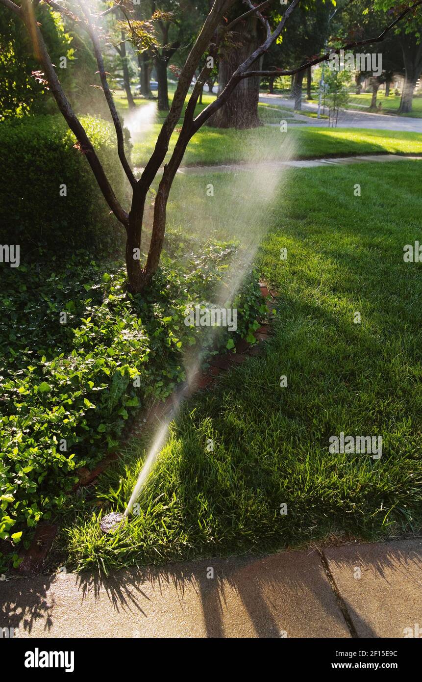 Tired of hauling around hoses and sprinklers while watering your yard