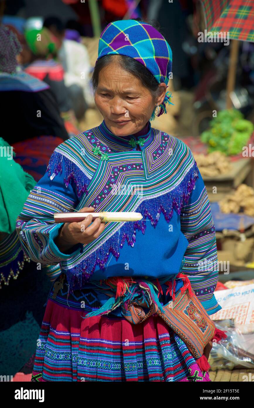 Flower Hmong woman in indigenous costume chewing sugar cane at Can Cau