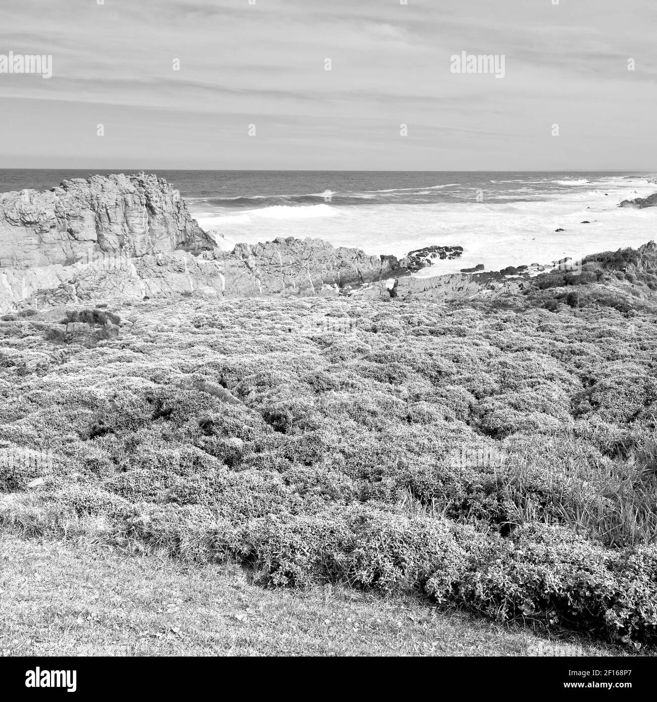 South africa the cape seascape Black and White Stock Photos & Images ...