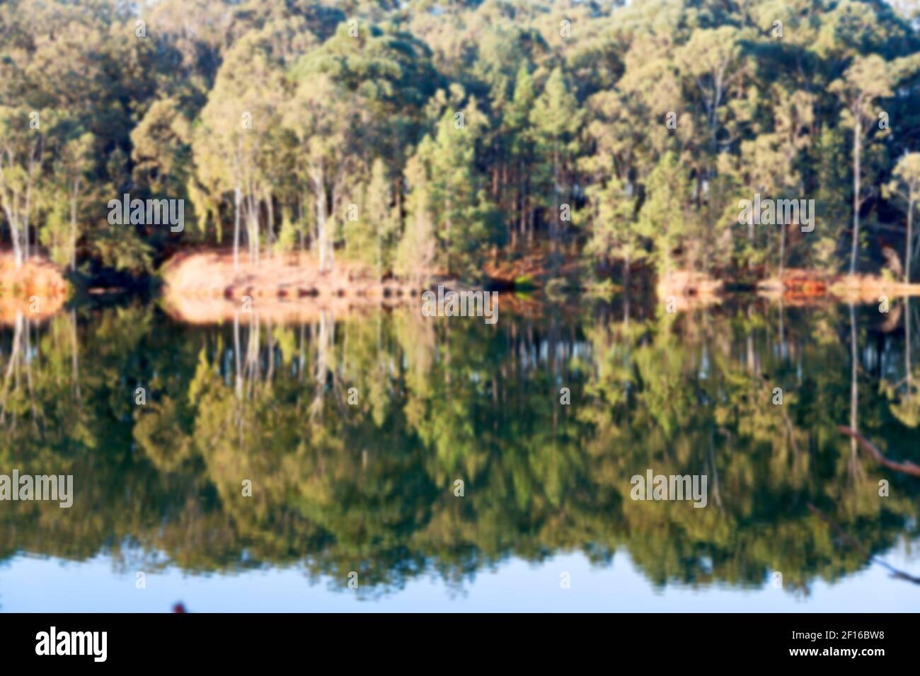 The pound lake and tree reflection in water Stock Photo Alamy