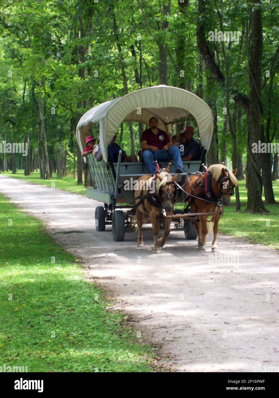 Visitors ride a horsedrawn wagon on the trails of the island home of